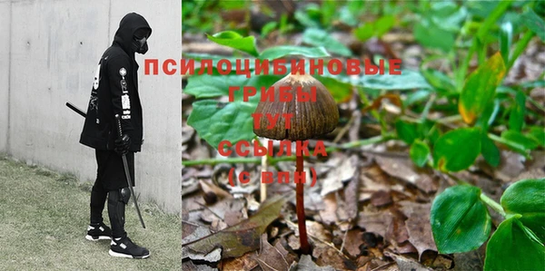 бутират Балабаново