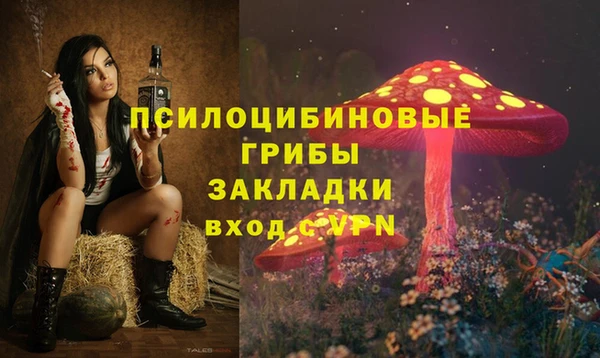 первитин Балахна